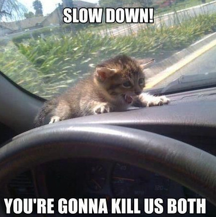 Slow-Down-You-Go-Too-Fast