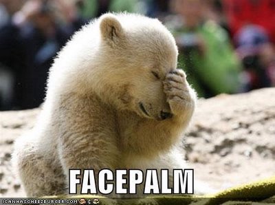 facepalm bear