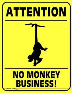 no monkey business
