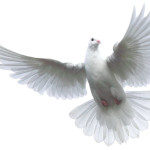 podcast 26 – Pastor Sean Finnegan on “the Holy Spirit” – Part 2