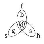 Scott Williams's soft Latin theory of the Trinity