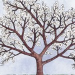 Derivation vs. Generic Theories -- part 1 (JT)