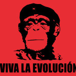 evolution chimp - viva la evolucion