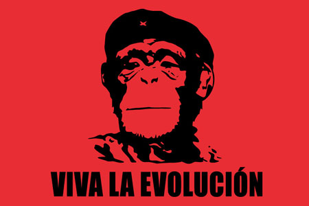 evolution chimp - viva la evolucion