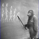 evolution - reverse