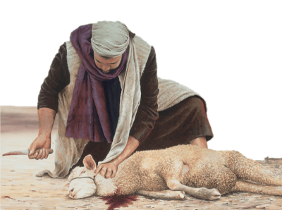 lamb-sacrifice