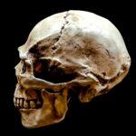 a meditation on mortality