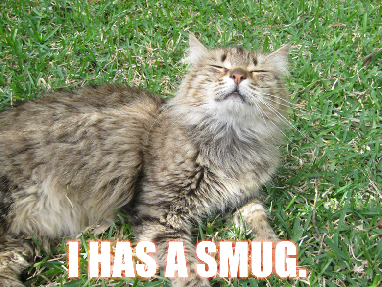 smug cat