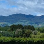 podcast 382 - New Zealand Conference Church History Q and A with Sean Finnegan and Dale Tuggy - Part...